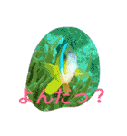 ダイバーの気持ち 2（個別スタンプ：31）
