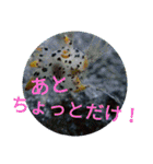 ダイバーの気持ち 2（個別スタンプ：35）
