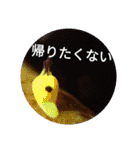 ダイバーの気持ち 2（個別スタンプ：37）