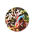 ダイバーの気持ち 2（個別スタンプ：38）