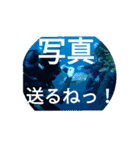 ダイバーの気持ち 2（個別スタンプ：39）