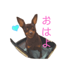 chiyacyanのスタンプ（個別スタンプ：3）