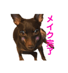 chiyacyanのスタンプ（個別スタンプ：6）