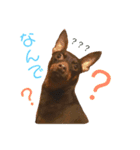 chiyacyanのスタンプ（個別スタンプ：7）