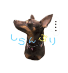 chiyacyanのスタンプ（個別スタンプ：8）