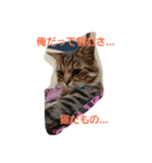 レオくんパート3（個別スタンプ：6）