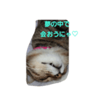 レオくんパート3（個別スタンプ：7）