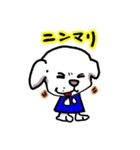物凄くかわいい白い犬（個別スタンプ：1）