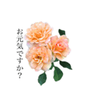 yasuおばさんの薔薇のささやき（個別スタンプ：1）