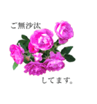 yasuおばさんの薔薇のささやき（個別スタンプ：2）