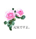 yasuおばさんの薔薇のささやき（個別スタンプ：4）