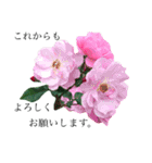 yasuおばさんの薔薇のささやき（個別スタンプ：7）
