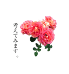 yasuおばさんの薔薇のささやき（個別スタンプ：11）