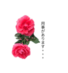 yasuおばさんの薔薇のささやき（個別スタンプ：31）