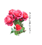 yasuおばさんの薔薇のささやき（個別スタンプ：34）