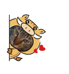 うちの猫なんですって。（個別スタンプ：14）