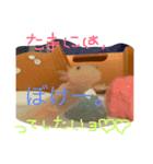 ウーパールーパーダヨー！（個別スタンプ：5）