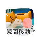 ウーパールーパーダヨー！（個別スタンプ：7）