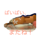 ウーパールーパーダヨー！（個別スタンプ：8）