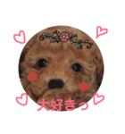 プーちゃんの毎日❤（個別スタンプ：5）