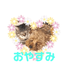 プーちゃんの毎日❤（個別スタンプ：7）