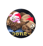 プーちゃんの毎日❤（個別スタンプ：8）