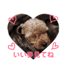 プーちゃんの毎日❤（個別スタンプ：10）
