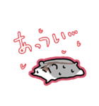ハムスターのごま（個別スタンプ：13）