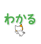 大きく見やすい文字の猫スタンプ（個別スタンプ：13）