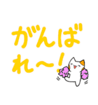 大きく見やすい文字の猫スタンプ（個別スタンプ：37）