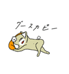 アーモンドプードル2（個別スタンプ：13）