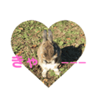 うさぎのいる生活。（個別スタンプ：4）