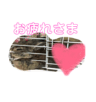 うさぎのいる生活。（個別スタンプ：6）