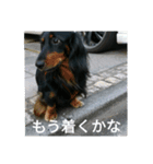 ショコラと仲良しな仲間達（個別スタンプ：2）
