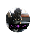 心愛とショコラ（個別スタンプ：1）