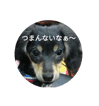 心愛とショコラ（個別スタンプ：2）
