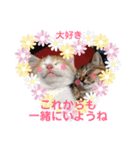 わんにゃんの毎日❤（個別スタンプ：1）