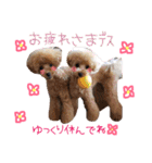 わんにゃんの毎日❤（個別スタンプ：11）