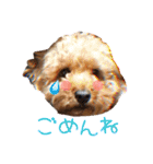 わんにゃんの毎日❤（個別スタンプ：22）