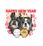 happy new  year kokozen（個別スタンプ：9）