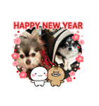 happy new  year kokozen（個別スタンプ：10）