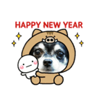 happy new  year kokozen（個別スタンプ：11）