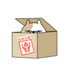 動く 擦れねこ3（ぶち）（個別スタンプ：3）