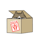 動く 擦れねこ3（キジトラ）（個別スタンプ：3）