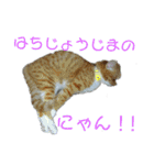 いわたみーと さん（個別スタンプ：16）