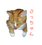 いわたみーと さん（個別スタンプ：18）