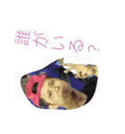 ナオミチスタンプ3（個別スタンプ：5）