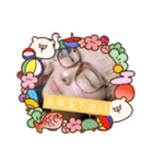 ゆんちょるスタンプ(お正月version)（個別スタンプ：3）