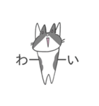 にゃんこちゃんと仲間たち（個別スタンプ：25）