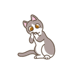 ユーモラスな猫たちの物語（個別スタンプ：9）